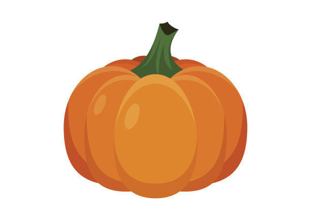 漂亮的橙色整个南瓜图标向量素材图片