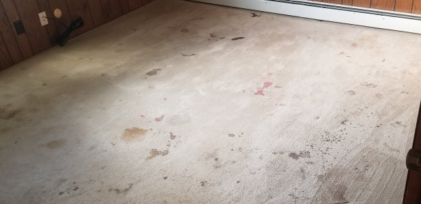 家里的地毯脏了图片下载