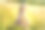 年轻美丽的女人在秋天的风景与干花，麦穗。时尚秋、冬。阳光明媚的秋天，舒适的秋天毛衣。时尚的照片图片下载