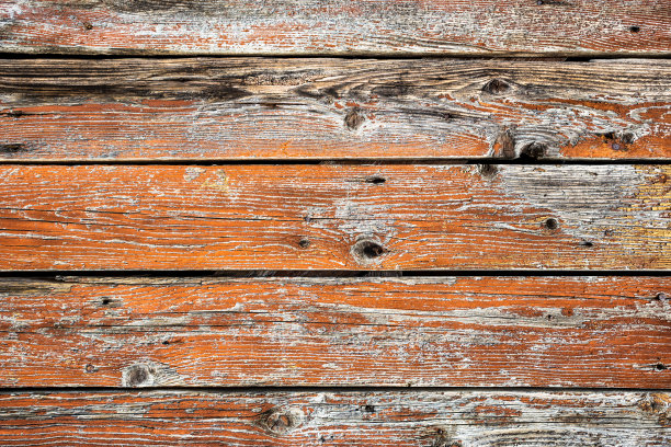 老木的背景图片下载