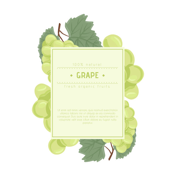 葡萄酒葡萄、餐桌葡萄矢量手绘标识设计。带叶子的树枝上有新鲜的浆果。图片下载