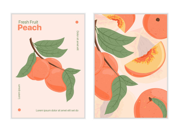 成熟桃子，整桃、切桃和半切桃。甜油桃水果矢量手绘卡片设计。图片下载