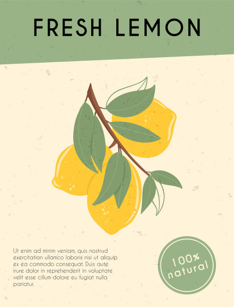 新鲜的纹理柠檬水果在树枝与树叶矢量手绘卡片设计与文本。图片下载