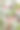 这是一种用浆果、云杉、松果和小树枝制成的圣诞或新年水果。在白色背景上的各种针叶树枝和球果。假期的明信片图片下载
