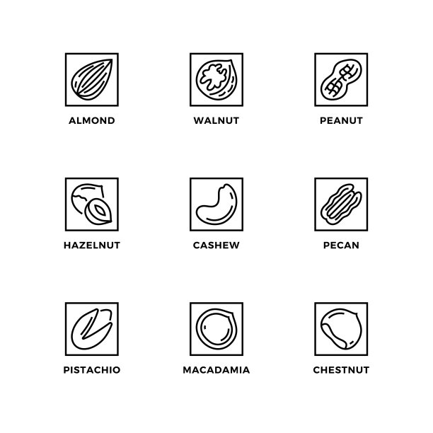 矢量集设计元素，标志设计模板，图标和徽章坚果。图片下载