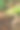 垂直拍摄。一张胡桃在开裂的绿色壳里的照片。核桃下面是干树叶和绿草。扎维德维奇，波斯尼亚和黑塞哥维那。图片下载