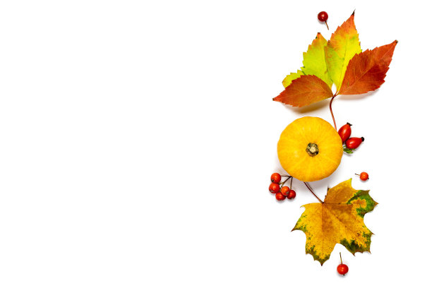 万圣节南瓜。天然食品，收获与橙色南瓜，秋天干叶，月桂浆果孤立在白色背景。创意俯视图平铺秋构图。图片下载