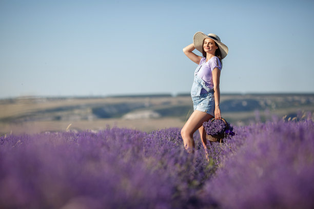 一个阳光明媚的夏日，年轻快乐的孕妇独自走在盛开着芬芳薰衣草的田野里图片下载