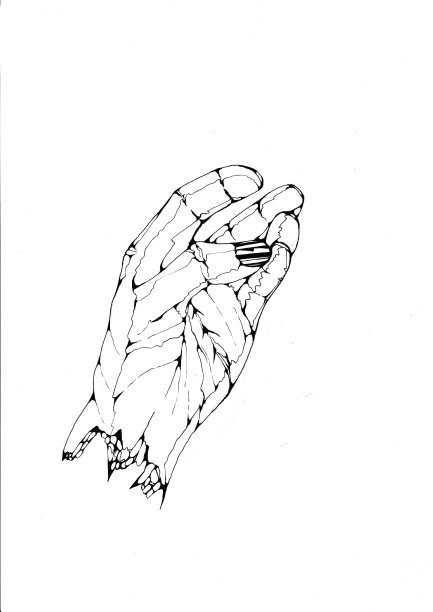 手绘手绘插图图片下载