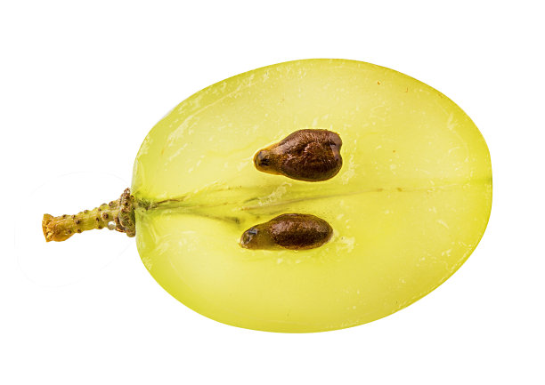 在白色背景下分离的一半葡萄图片下载