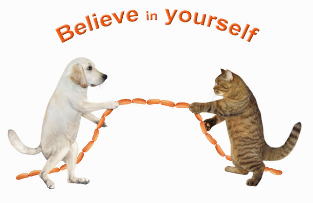 狗和猫玩拔河图片下载