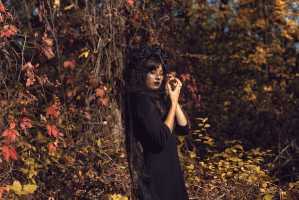 万圣节的黑色新娘图片下载