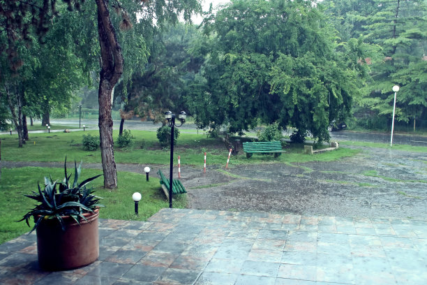 清晨，奥林匹普大街上下着大雨。图片下载