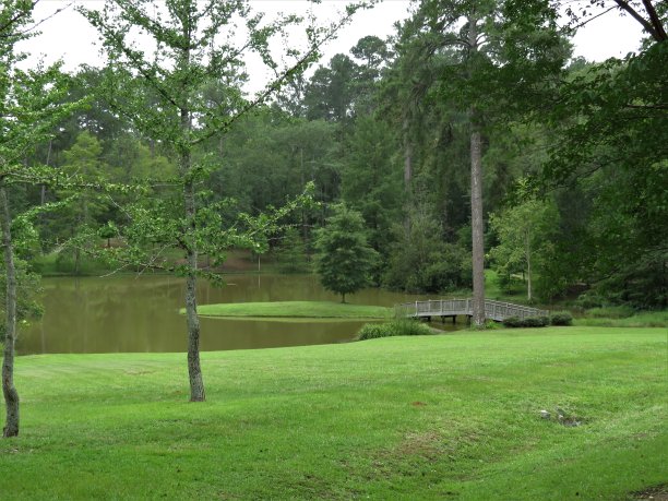 池塘对面的射击图片下载