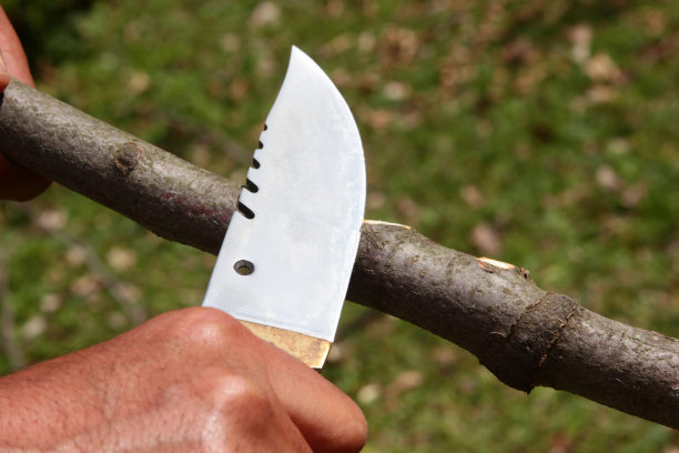 有机成熟的南瓜在收获的时候图片下载