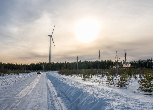 照片中的风车，汽车在笔直的道路和几棵枯死的松树在冬天的森林，蓝天，阳光图片下载