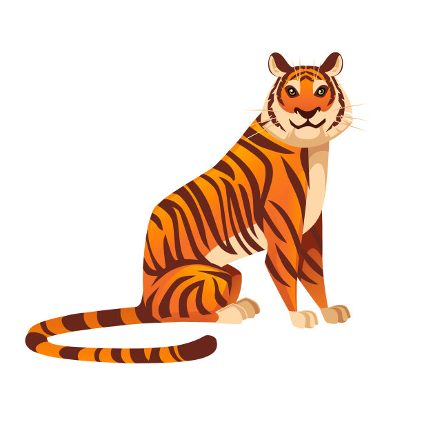 成年大红虎坐在地上野生动物和图片下载