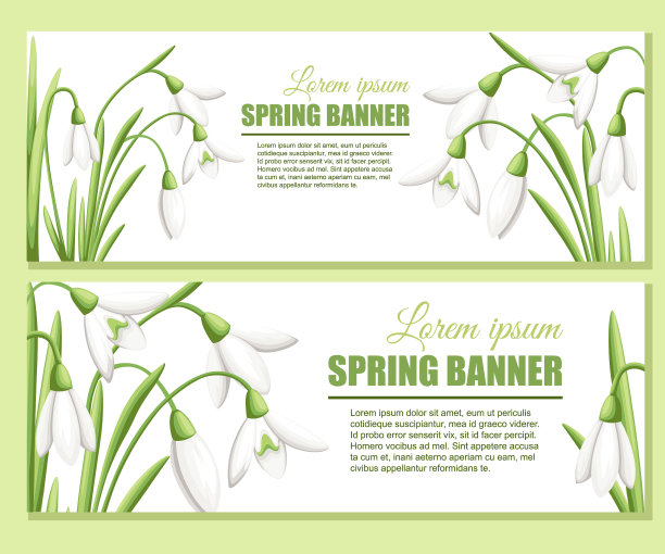 雪花莲广告贺卡平面设计图片下载