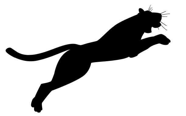 黑色的剪影，成年的大红虎在跳跃图片下载