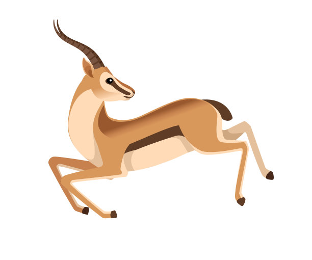 长角的非洲野生黑尾瞪羚图片下载