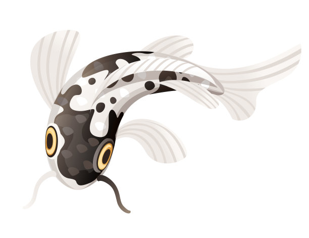 锦鲤是日本吉祥的象征图片下载