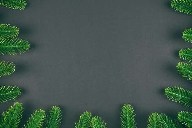 顶视图的绿色冷杉树枝上彩色的背景。新年假期概念与空空间为您设计图片下载
