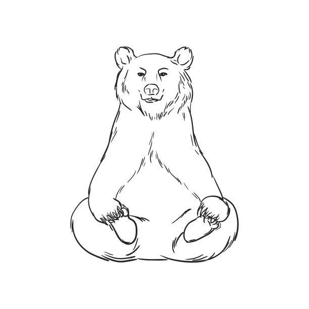 手绘熊。矢量插图。图片下载