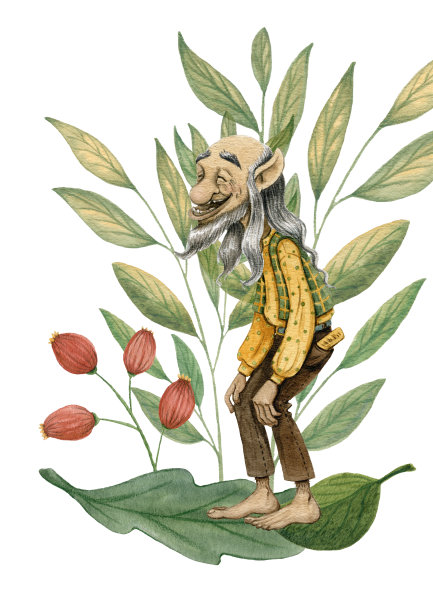 这是一幅手绘水彩画，画的是一个可爱的光头小精灵，留着灰胡子，穿着圆点黄色衬衫和绿色背心，站在树叶中间笑个不停图片下载