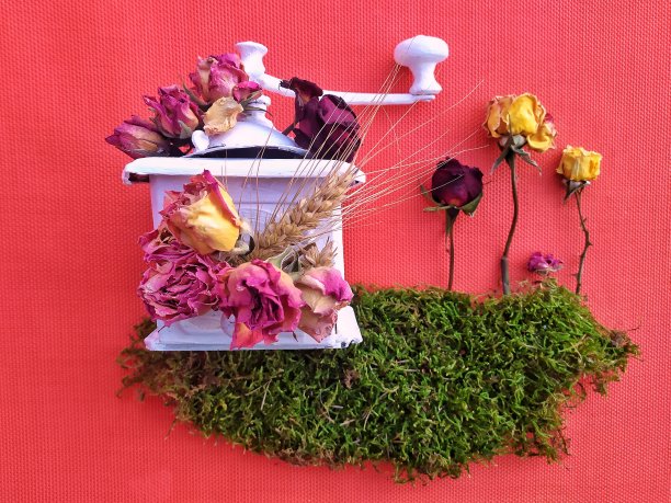 干燥的花园……图片下载