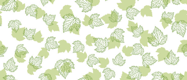 醋栗绿叶背景图片下载