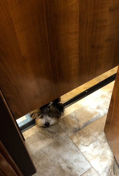 房车里没有隐私这回事图片下载