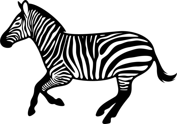 图形斑马隔离在白色背景图片下载