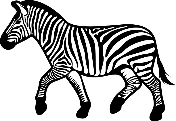 图形斑马隔离在白色背景图片下载