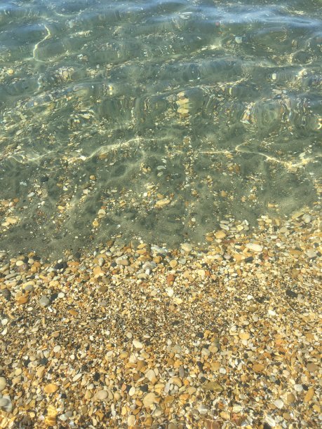 清晰的图片下载