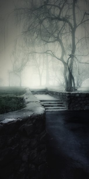 在某处……图片下载