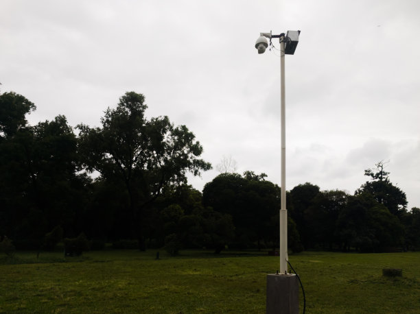 路灯。2020年10月24日。图片下载