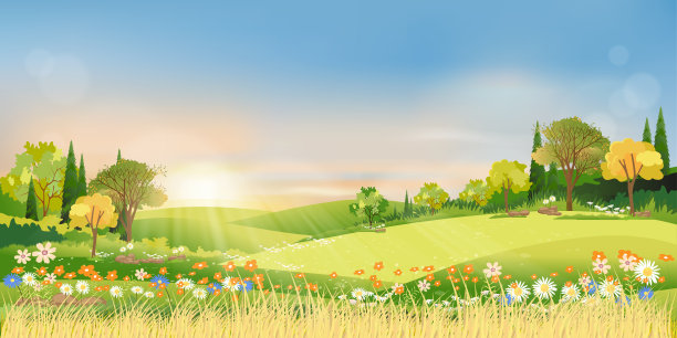 春天的风景早晨在农村与阳光照耀通过绿色草地在山上与橙色和蓝色的天空，向量卡通自然背景在夏季或春天与草地和花素材图片