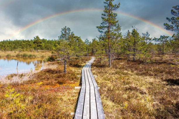 拉脱维亚的硫磺水沼泽彩虹图片下载