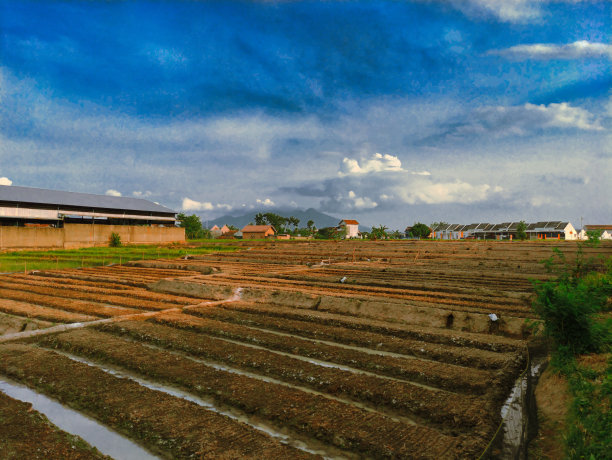 这个领域图片下载