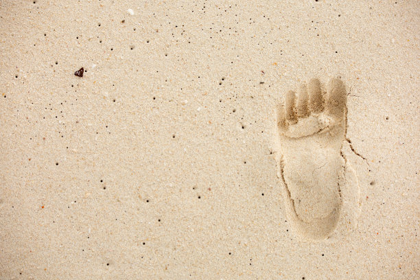 顶部视图足迹在沙背景与复制空间图片下载