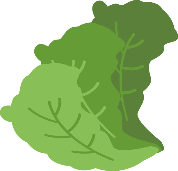 芥末叶平面设计模板孤立图片下载