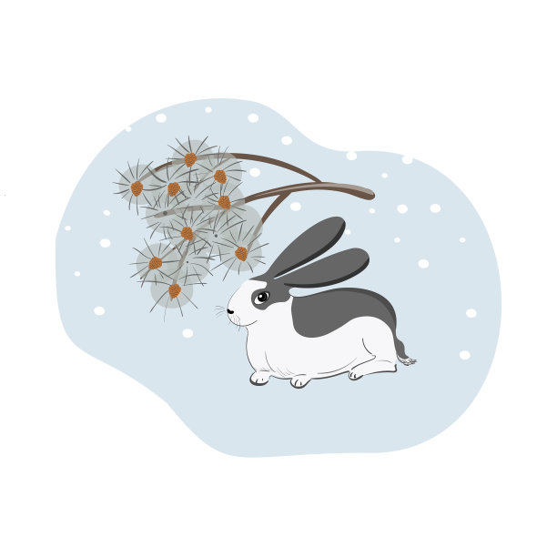 可爱的兔子在东方风格与松树枝在蓝色的背景。带有灰色斑点的白色野兔。冬天兔子和雪的场景。图片下载
