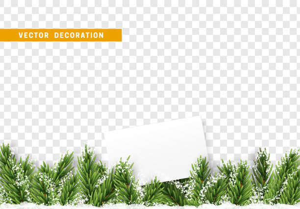 圣诞装饰品。图片下载