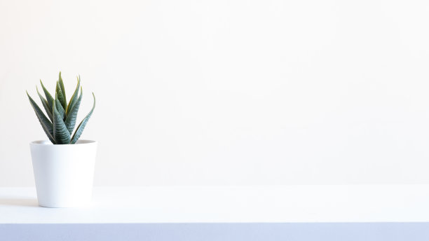 多汁锅与一个白色背景股票照片图片下载