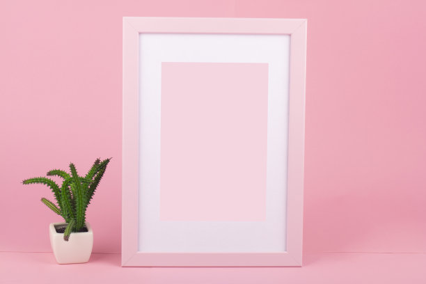 粉红色的木制相框与仙人掌图片下载
