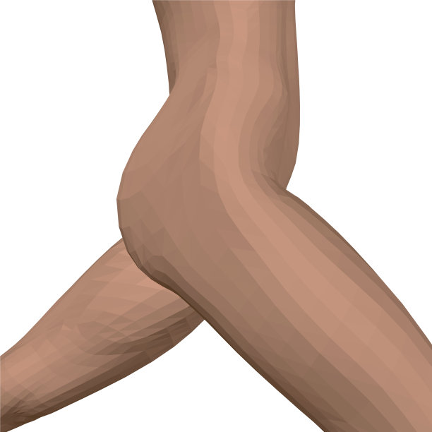 躯干一个跑步的女孩多边形身体图片下载