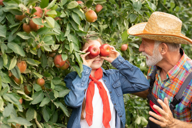 有趣的女孩和她的爷爷在果园里玩图片下载