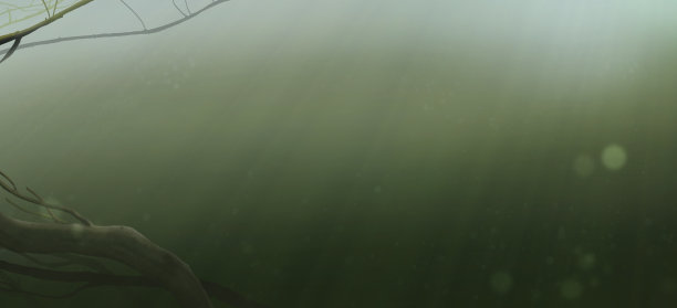 深度湖泊或河流背景逼真的插图。图片下载