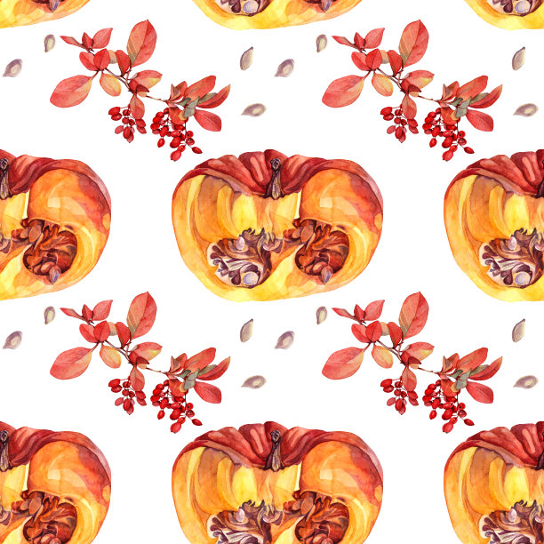 无缝图案水彩切割橙色南瓜，种子，红色秋天枝与叶和浆果在白色。背景图片下载