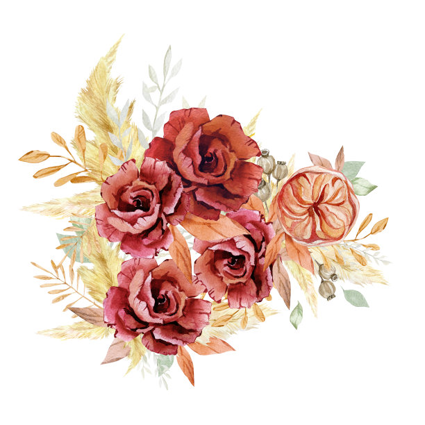 水彩勃艮第花束。秋天，波西米亚婚礼风格的秋天之花。潘帕斯草和干燥的野花。婚礼设计，婴儿送礼会，新娘卡片，派对卡片图片下载